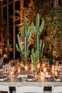 Gruppo Spuma Tavolo con candele e cactus
